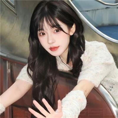 无名威尼斯人
